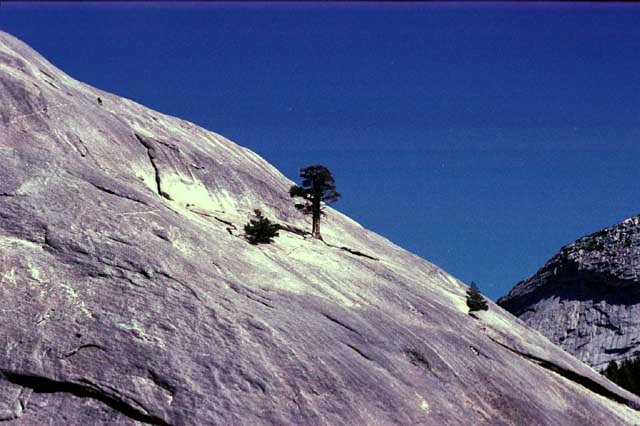 Foto: Micha Ewald <br> Location: Yosemite, CA, USA <br> Date: September 2002