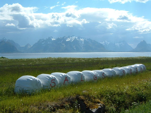 Foto: Micha Ewald <br> Location: Lofoten, Norway <br> Date: July 2004