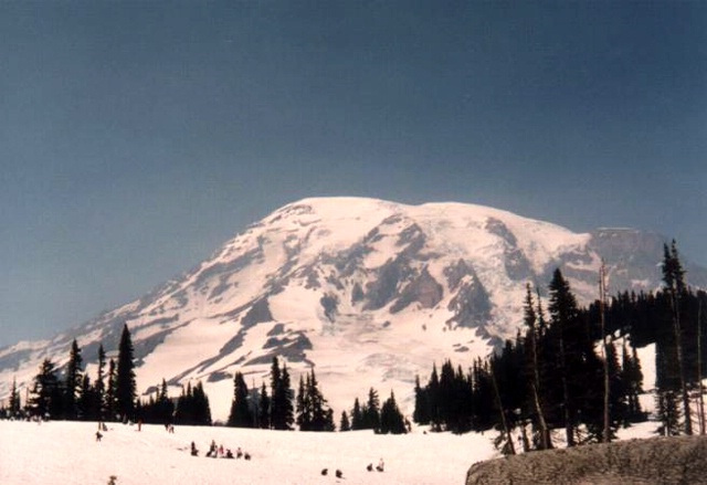 Foto: Micha Ewald <br> Location: Paradise, Mount Rainier N.P., WA, USA <br> Date: July 1999