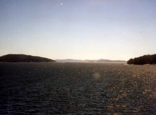 Foto: Micha Ewald <br> Location: San Juan Islands, WA, USA <br> Date: July 1999